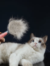 Load image into Gallery viewer, Hair Cleaner for Cat
