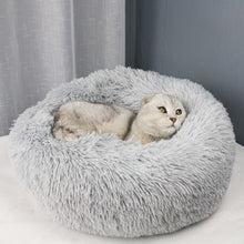 Load image into Gallery viewer, Cat Sofa
