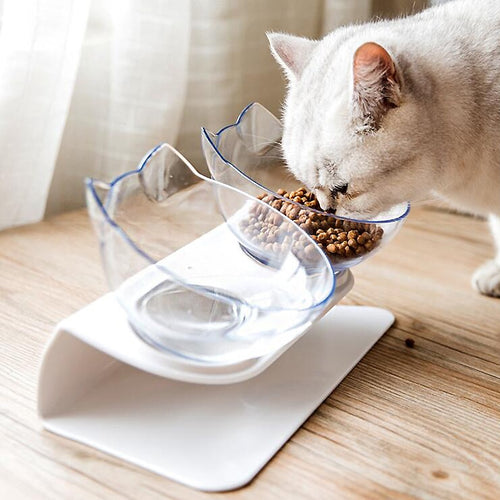 Double Cat Bowl